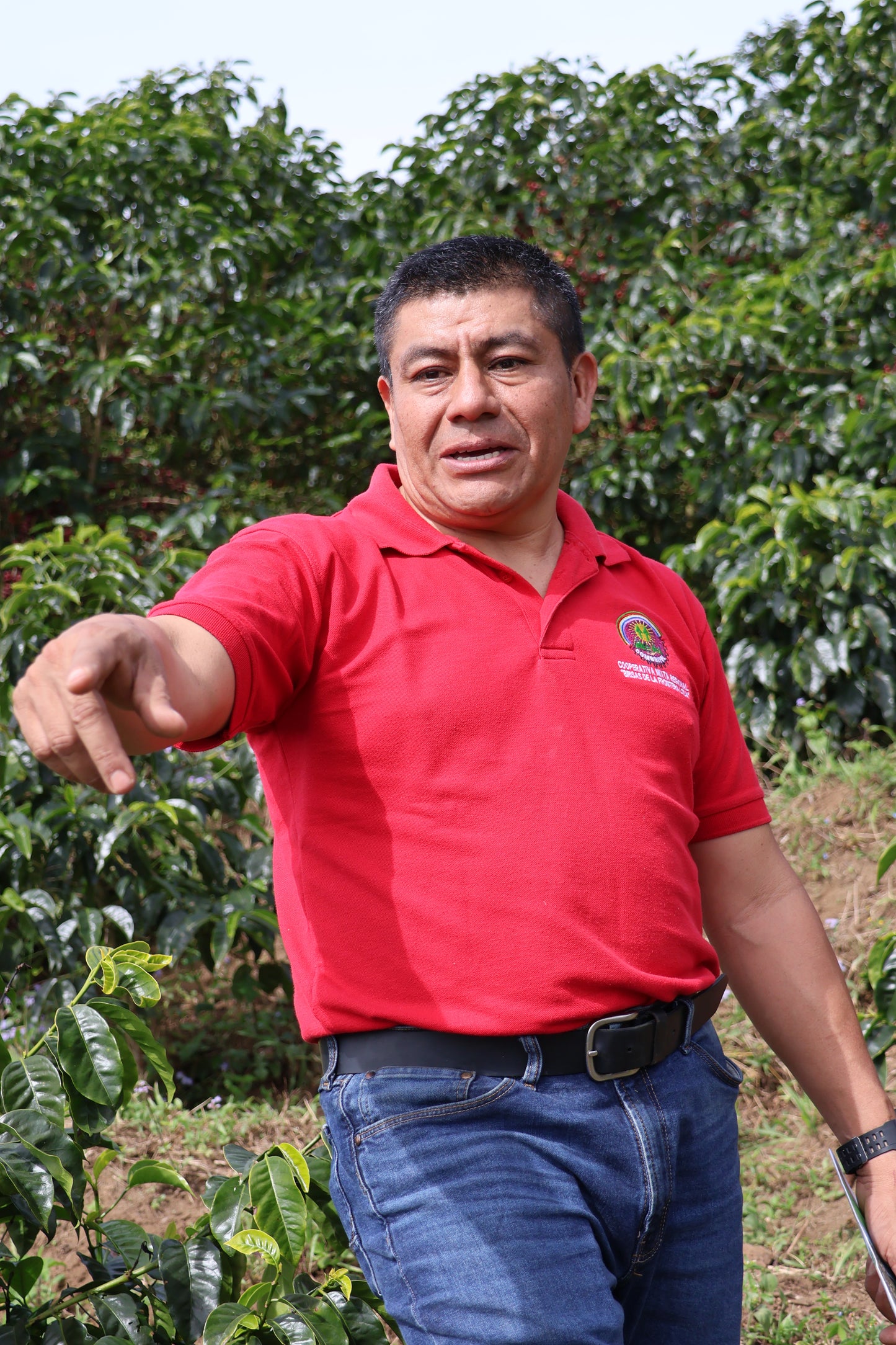 NEU!! BIO HONDURAS COMBRIFOL HONEY Ernte 2024