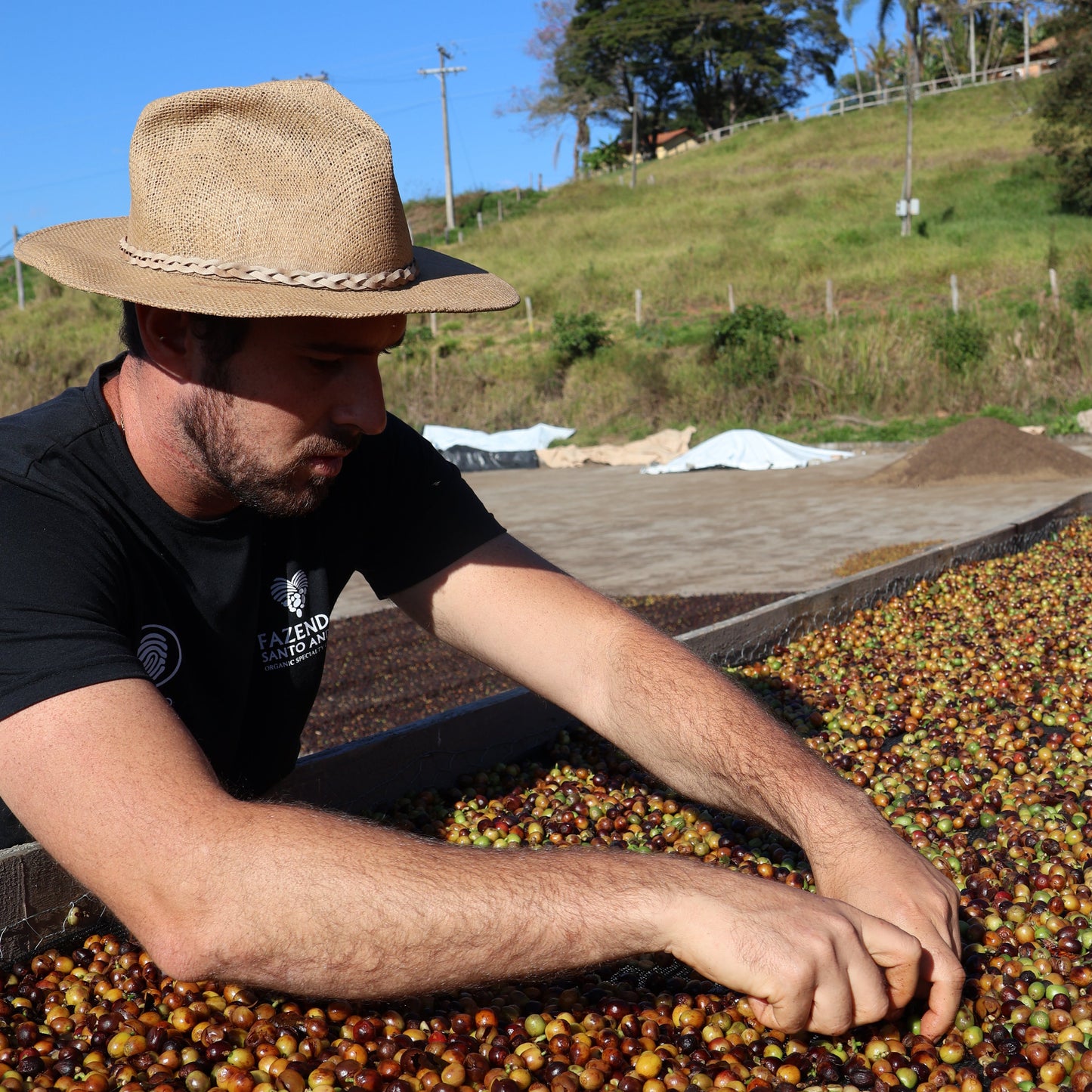 BIO BRASILIEN ARARA Microlot Ernte 2024