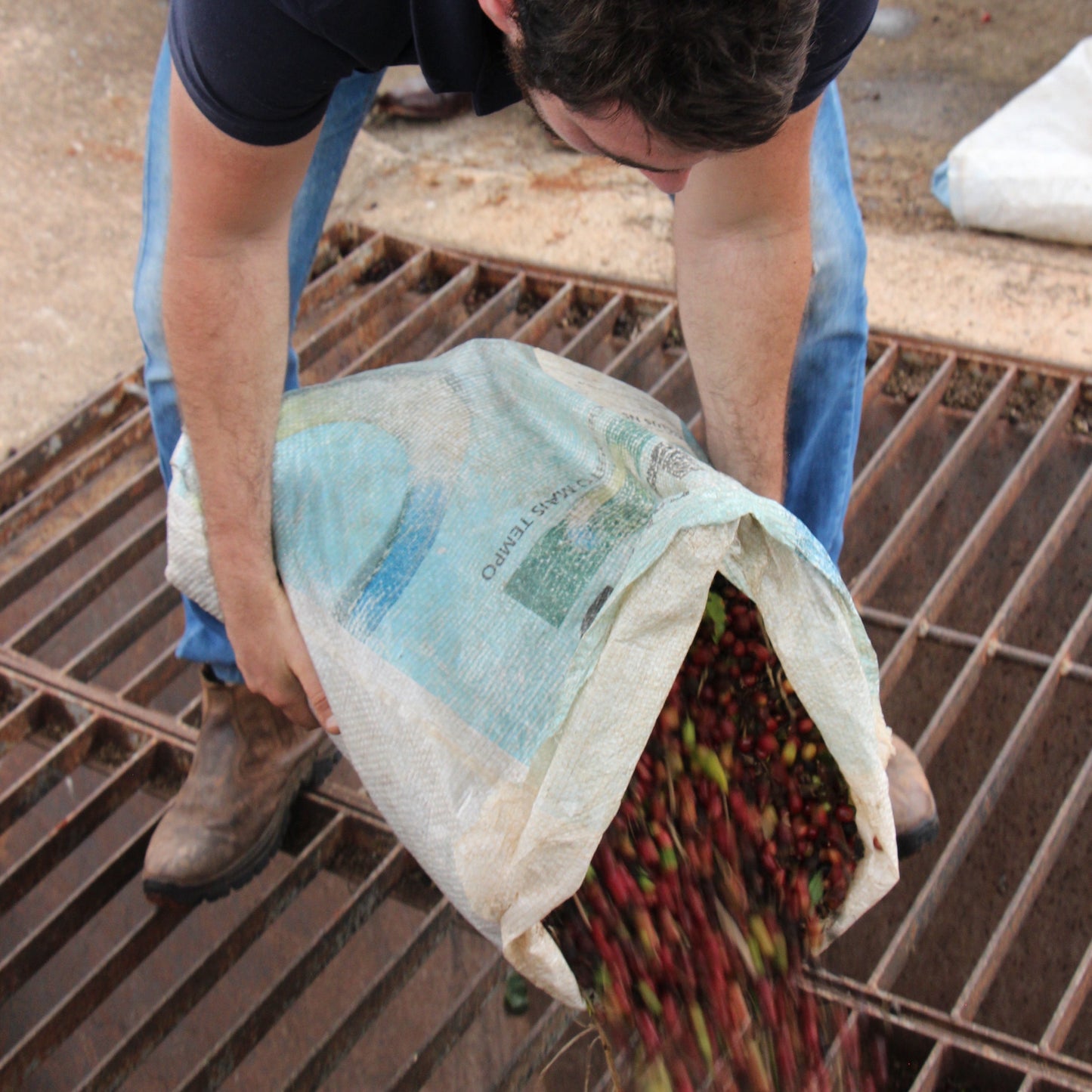 BIO BRASILIEN FAZENDA SANTO ANDRÉ pulped natural Ernte 2022