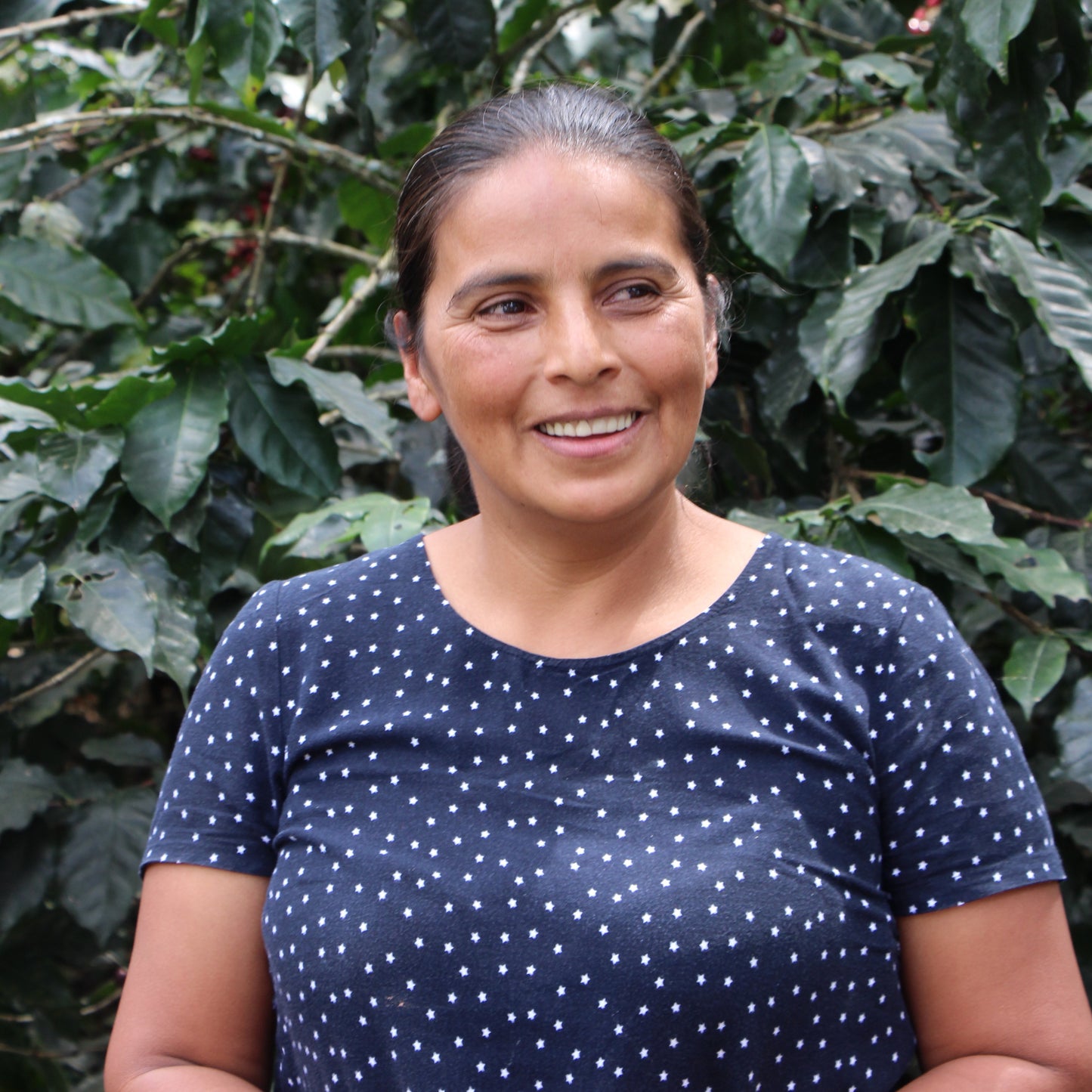 BIO LOLY ESPINOZA MICROLOT HONDURAS Ernte 2023