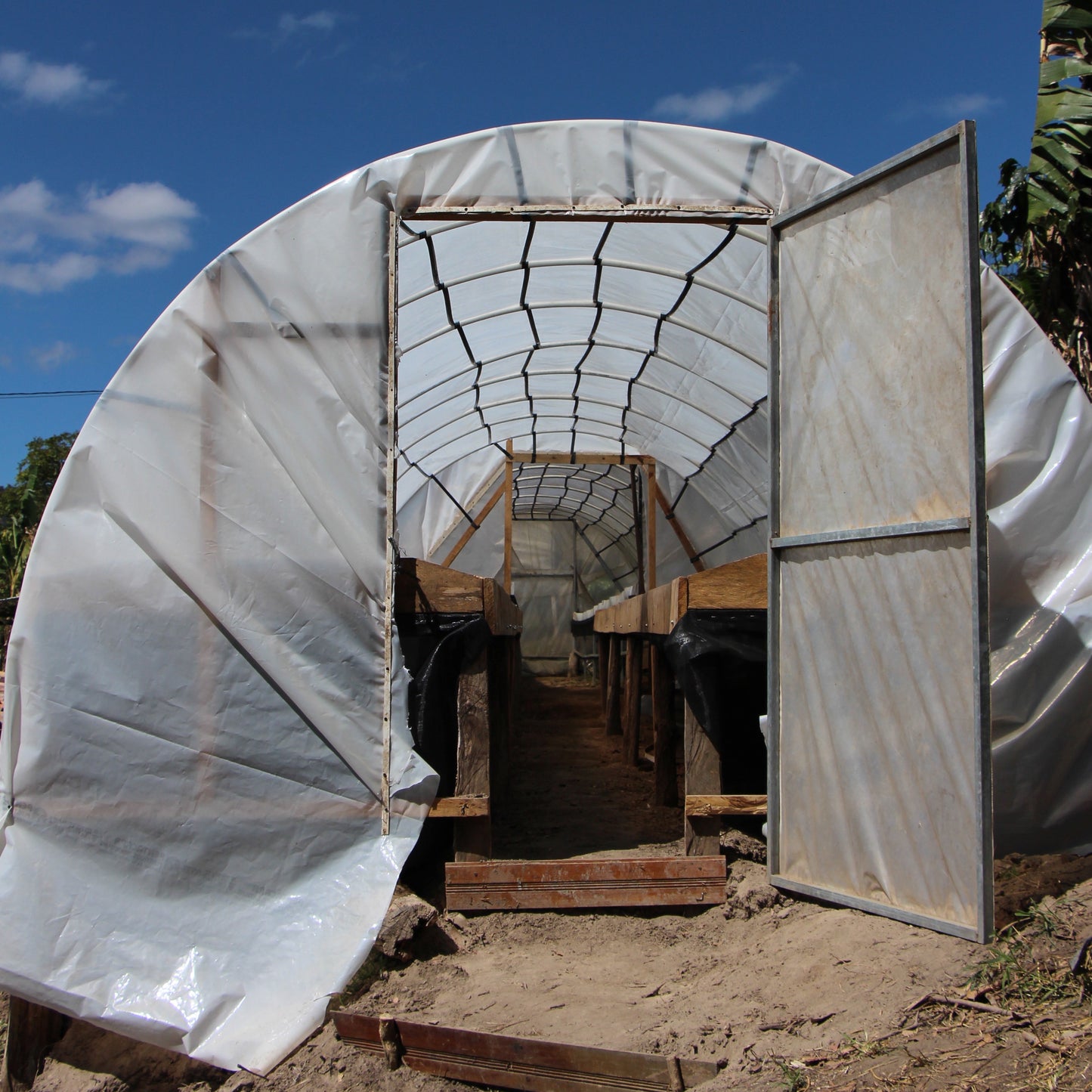 BIO LOLY ESPINOZA MICROLOT HONDURAS Ernte 2023