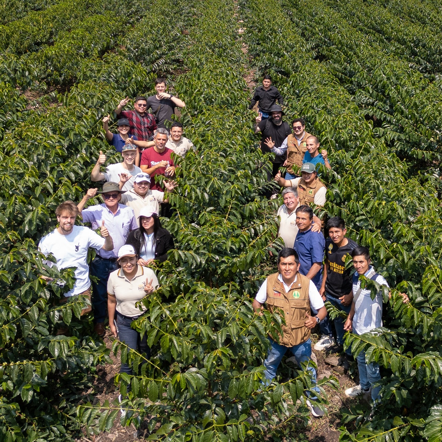 BIO PERU ANAEROBIC MICROLOT Ernte 2024