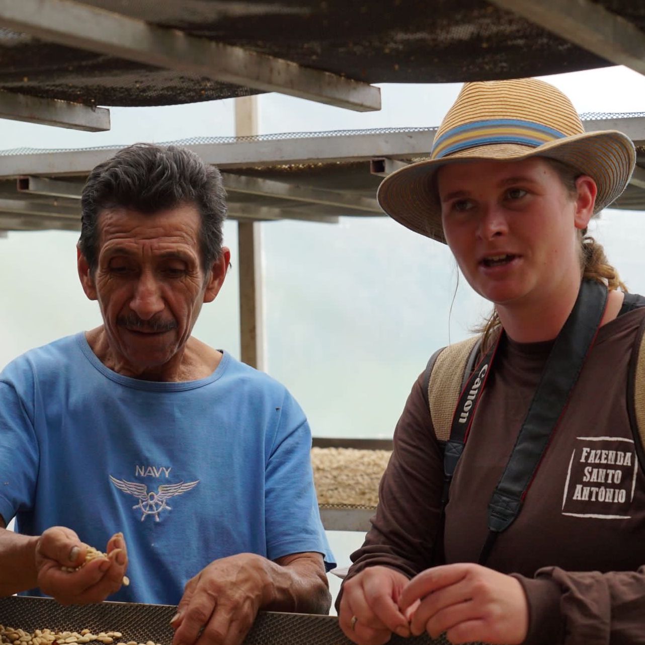 BIO PERU CENFROCAFE Ernte 2025