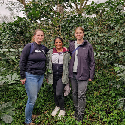 BIO LOLY ESPINOZA MICROLOT HONDURAS Ernte 2026