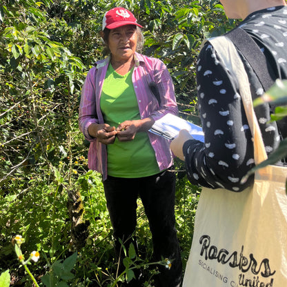 BIO DECAF HONDURAS APROLMA Ernte 2023