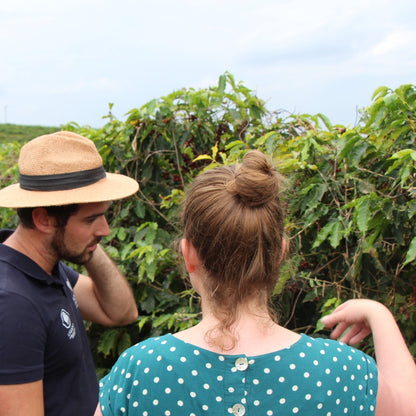 BIO BRASILIEN FAZENDA SANTO ANDRÉ natural Ernte 2022