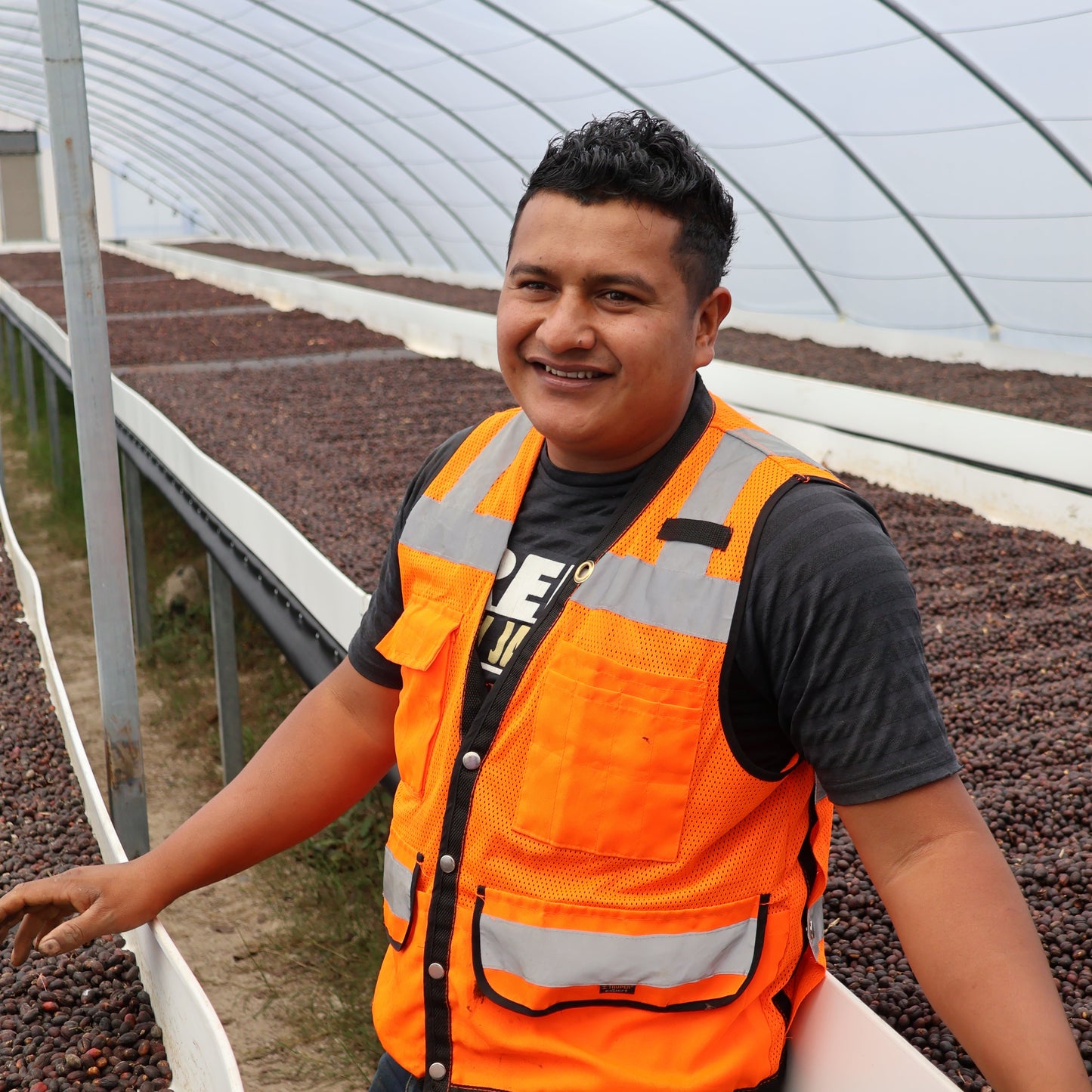 BIO HONDURAS COMBRIFOL Ernte 2026