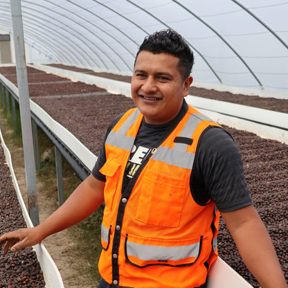 BIO HONDURAS COMBRIFOL Ernte 2026