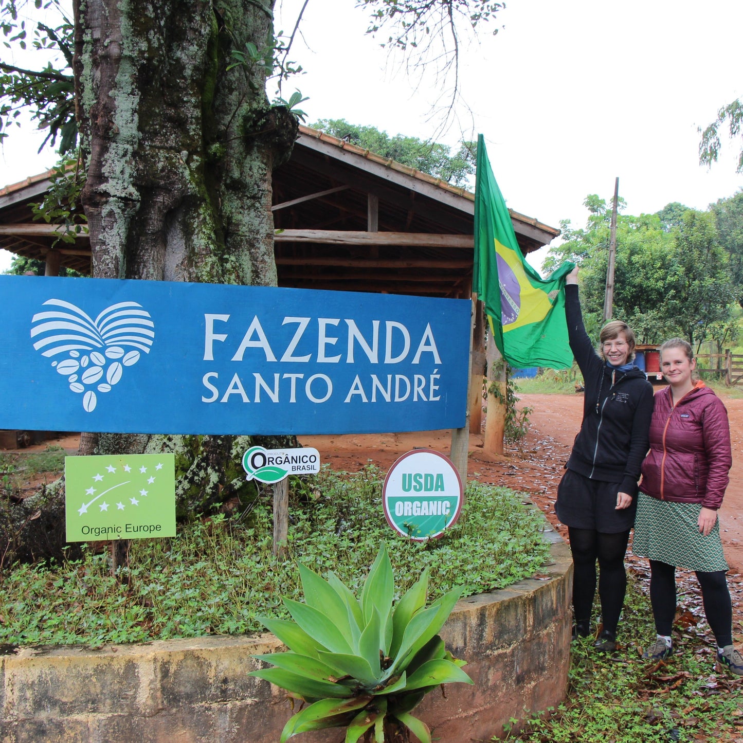 BIO BRASILIEN FAZENDA SANTO ANDRÉ natural Ernte 2022