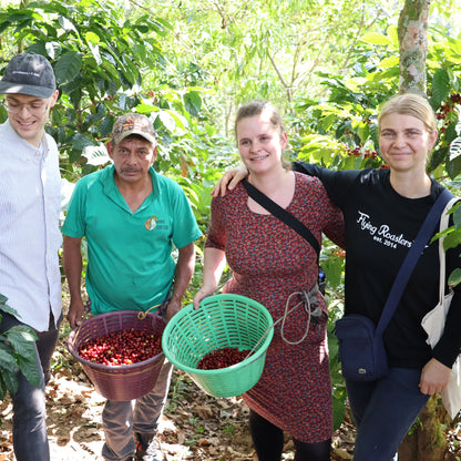 BIO GUATEMALA MANOS CAMPESINAS Ernte 2025