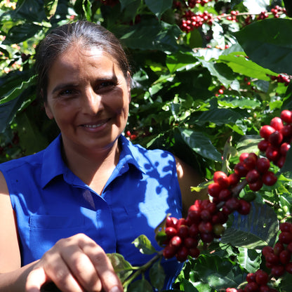 BIO LOLY ESPINOZA MICROLOT HONDURAS Ernte 2025