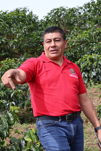 NEU!! BIO HONDURAS COMBRIFOL HONEY Ernte 2024