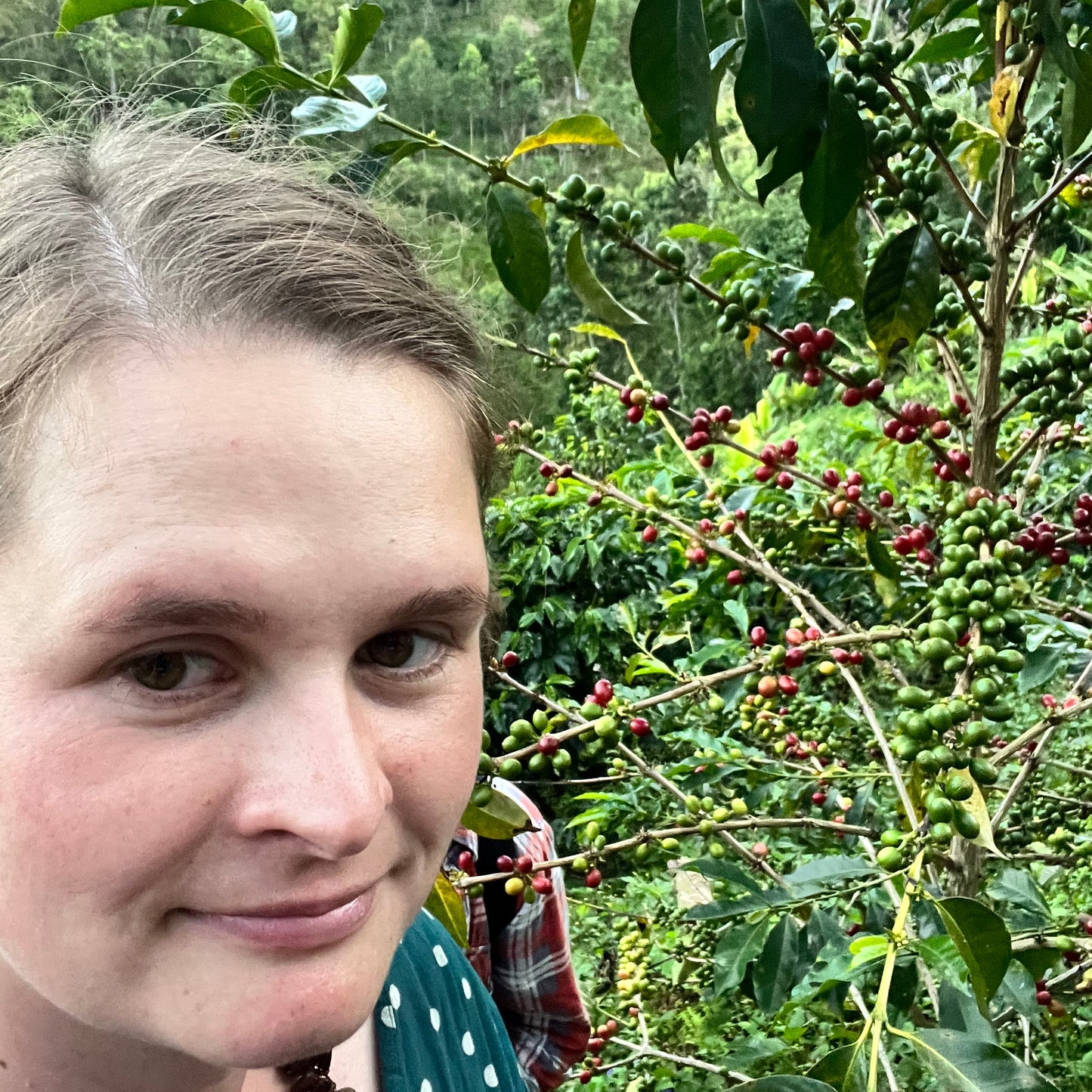 NEU! BIO GEISHA PERU Ernte 2025