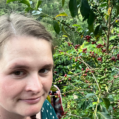 NEU! BIO GEISHA PERU Ernte 2025