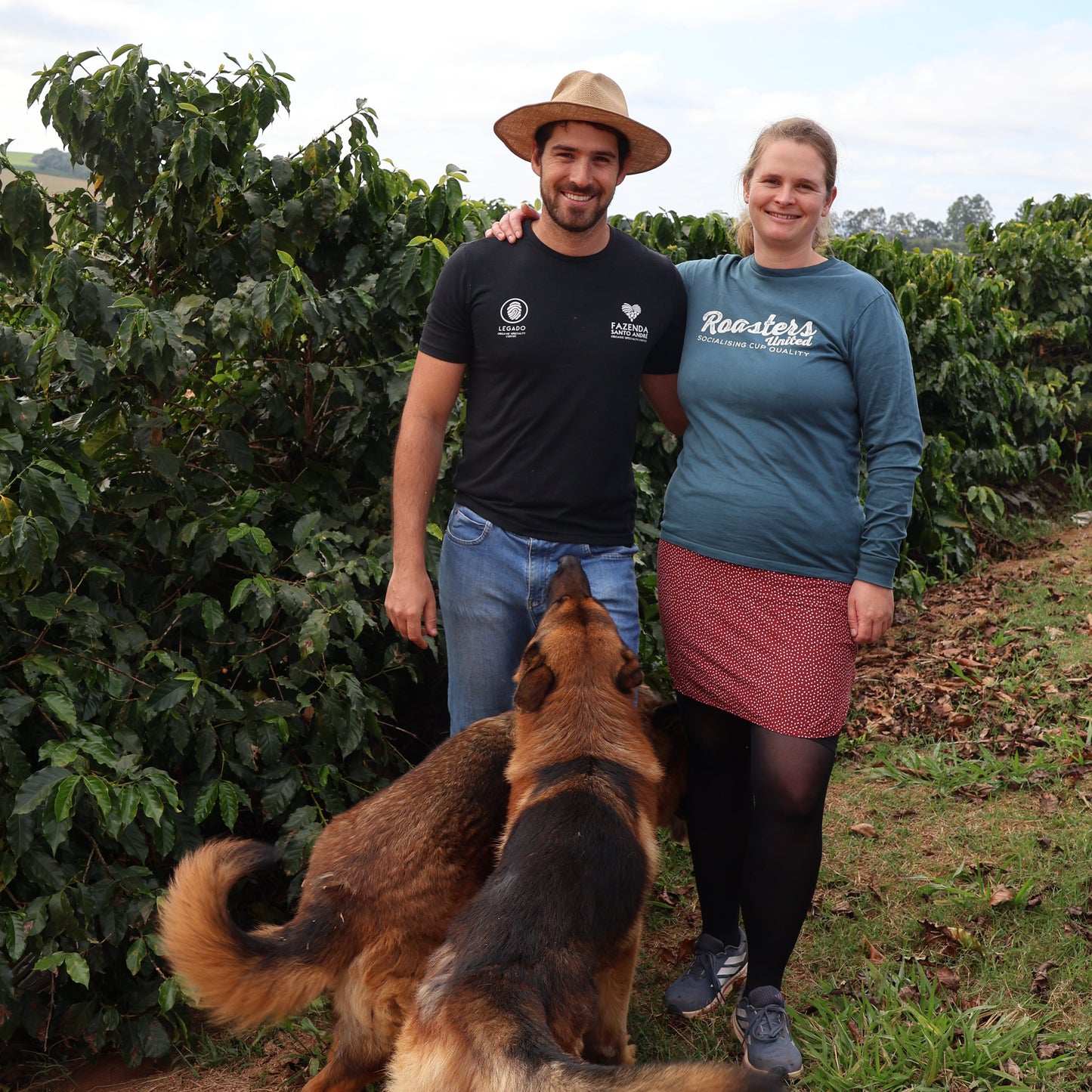 BIO DARK SIDE Brasilien Ernte 2025