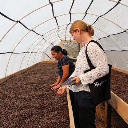 BIO LOLY ESPINOZA MICROLOT HONDURAS Ernte 2023