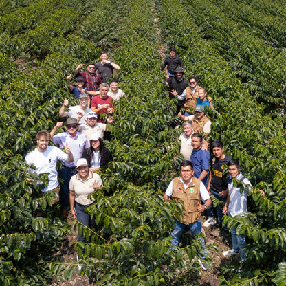 BIO PERU ANAEROBIC MICROLOT Ernte 2024