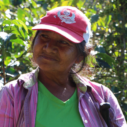 BIO HONDURAS APROLMA Ernte 2023