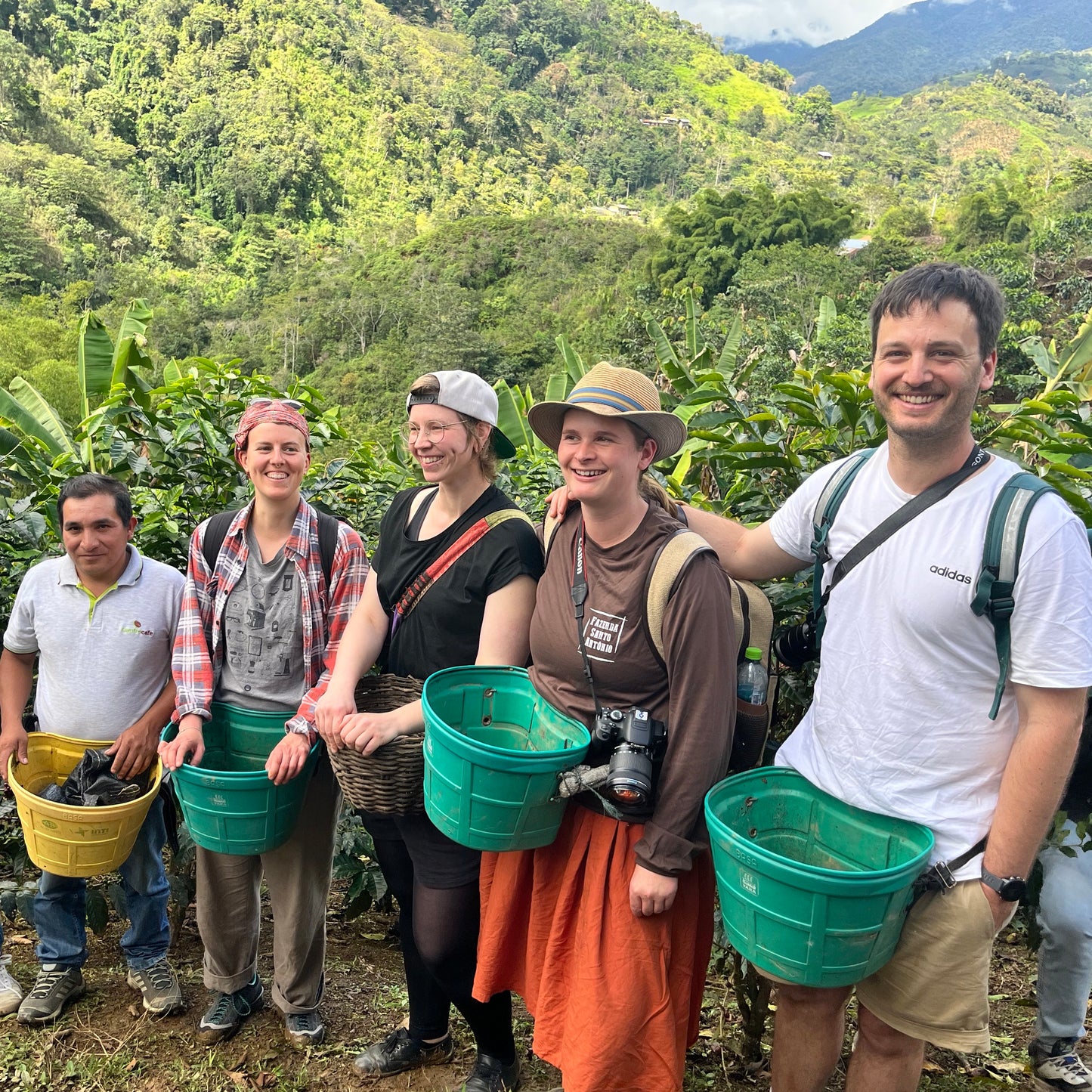 NEU! BIO PERU CENFROCAFE Ernte 2025