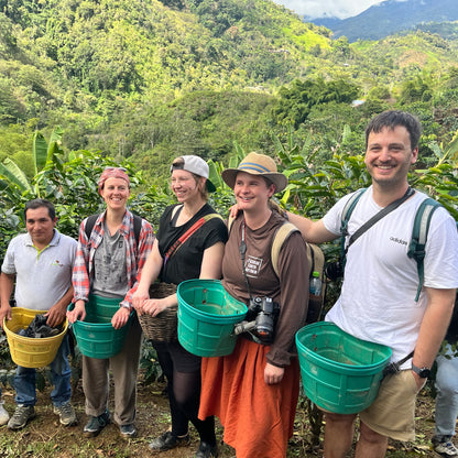 NEU! BIO PERU CENFROCAFE Ernte 2025