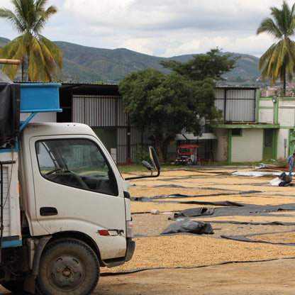 NEU! BIO PERU CENFROCAFE Ernte 2025